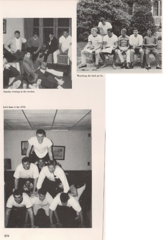 document preview