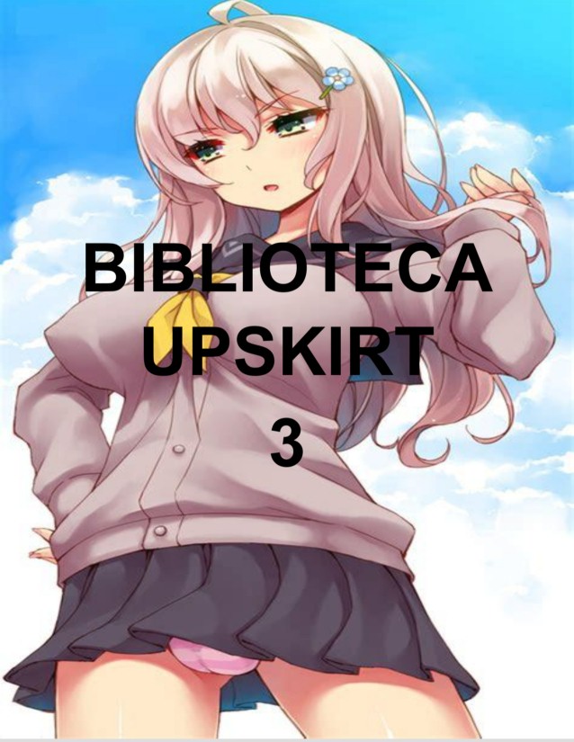 BIBLIOTECA UPSKIRT 3