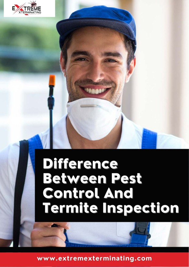 Difference Between Pest Control And Termite Inspection
